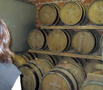 David Léclapart - champagne vins clairs 2007 - chais à barriques - Winery